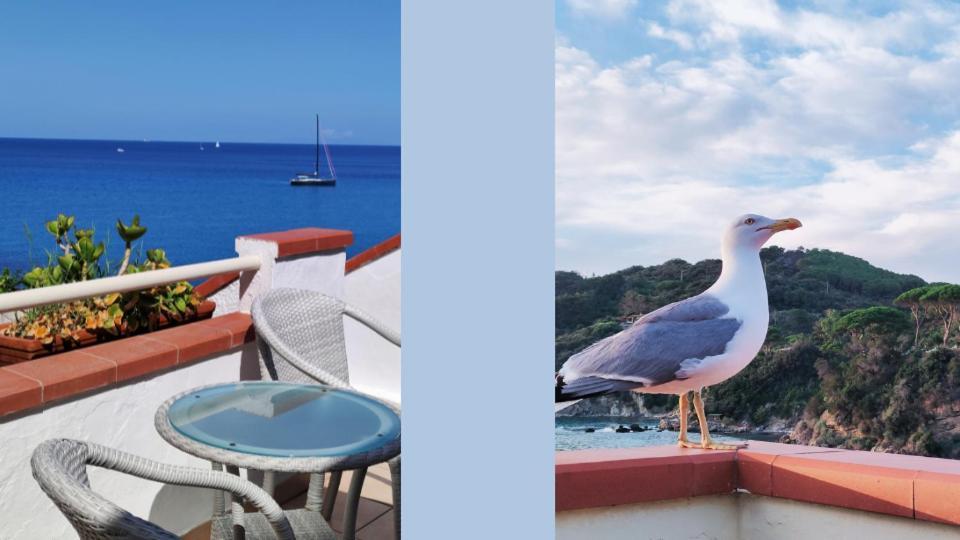 Hotel Scoglio Bianco Portoferraio Exterior foto